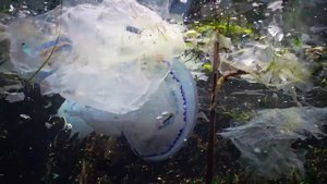 Фильм «Мусор». Премьера на телеканале «Россия-24»