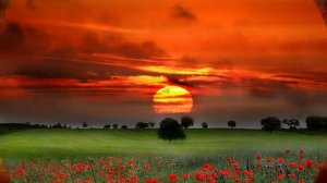 Не ссорьтесь с любимыми !