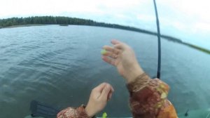 рыбалка на реке Унжа. утренние окуни.