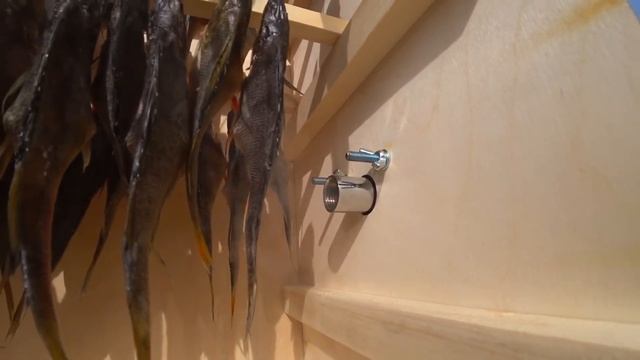 Холодное копчение. Мой первый опыт. Коптим окуня в гаражных условиях с коптильней   Hobbi Smoke.