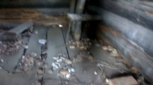 Лосиный - Солнечный. Малорефтинский (Хомутовский) кордон.