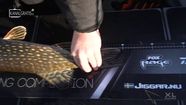 FLY VS JERK 13 - Episode 1 смотреть онлайн