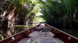 АРХИВ. Boat trip in Jungle. Thailand. River Kwai. Surat Thani