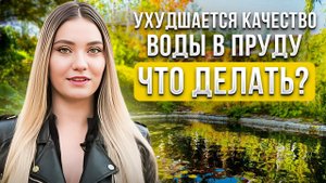 Падает уровень и ухудшается качество воды в пруду. Что делать?