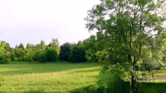 Україномовний канал.