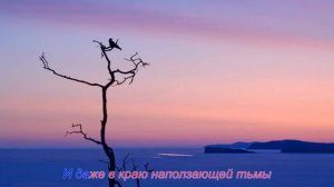 Мы эхо любви - Текст песни