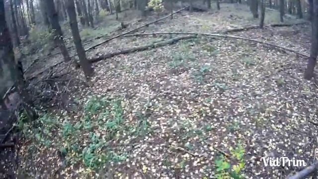 Тихая хапуга смотреть онлайн