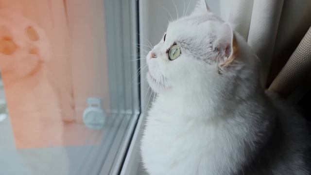 ОЖИВИЛ СТАРЫЙ НОУТ ПОДПИСЧИКА ? 1 ЧАСТЬ смотреть онлайн