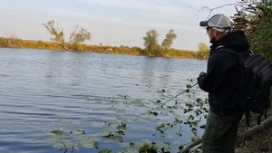 Щука в лилиях на плавающий воблер