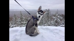 На Соболе 4х4. Легкая прогулка на водопад Грохотун и Азов-Гору.