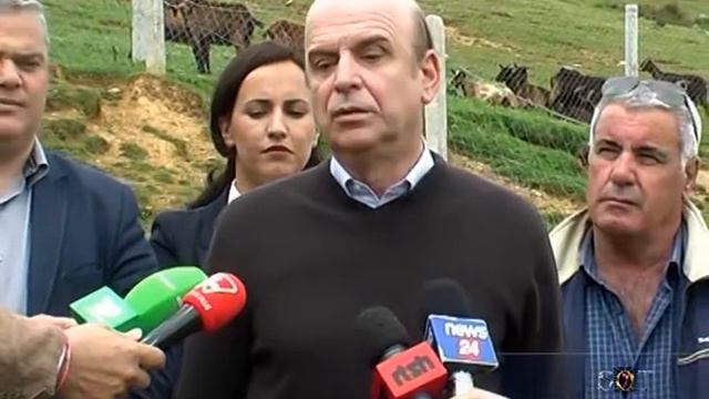 Panariti tregje me kushte bashkohore смотреть онлайн