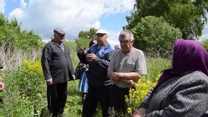 Мост в Коржевке