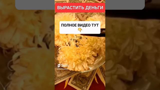 ВЫРАСТИТЬ ДЕНЬГИ #онлайн #ритуал #СВЕТЛАНАВЕДА #shorts