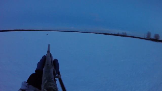 Лучшая Охота на лис! Медвежья Гора!