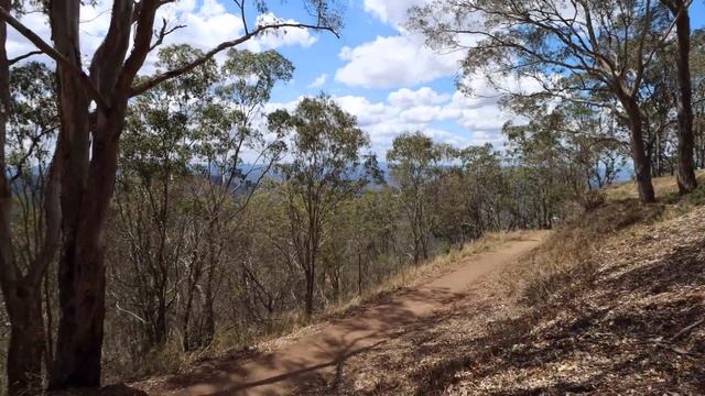 Longest 2 Months of my Life... SHE'S BACK! - Turbo Ford Falcon XR6 смотреть онлайн