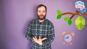 Как гусеница стала бабочкой! – Пальчиковая игра – Английский для детей | Little Lily