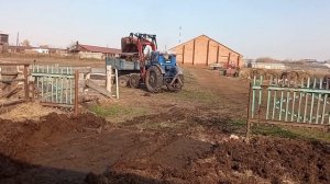 Чистим загон трактором! Теперь у быков чисто!