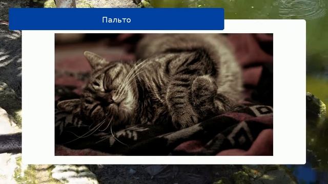 Пальто смотреть онлайн