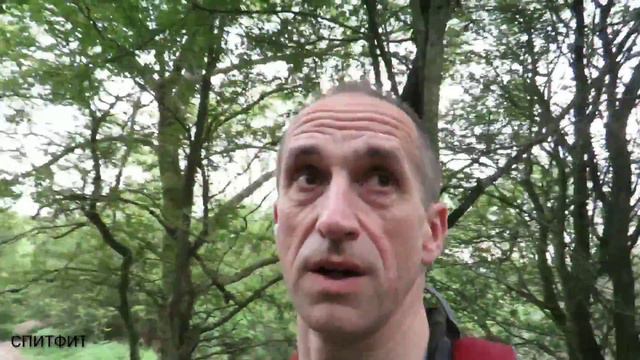 Как мы заблудились ,и за чем она залезала в дерево? смотреть онлайн