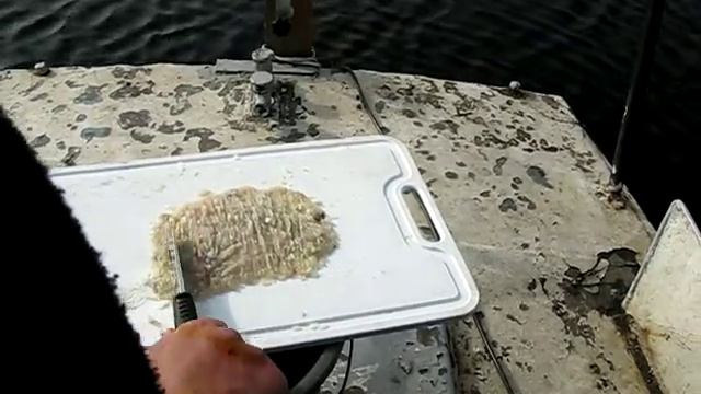 готовим фарш для фрикаделек из щуки, без мясорубки. смотреть онлайн