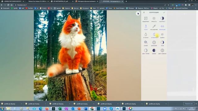 Fotostars: редактируем фотографии онлайн
