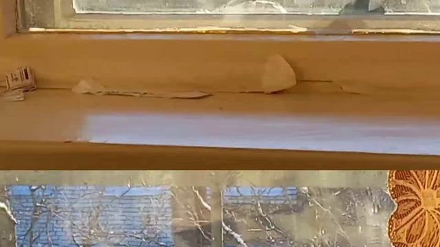 СНАЧАЛА В ЗАSOS, ПОТОМ ТОПЧЕТ. БУТЫЛКИ НЕ ХВАТАЕТ. ГЛАЗА СТАЛИ БОЛЬШЕ ОЧКОВ. БОТОКС В ГОЛОВУ. смотреть онлайн