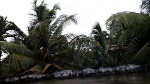 Nikon Coolpix A10 point and shoot camera review