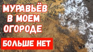 МУРАВЬИ не любят ЭТО пара КАПЕЛЬ и они уйдут 7 эффективных и бесплатных средств