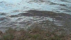 Футажи для видеомонтажа. Футажи волны. Волны на берегу. Море, берег, волна