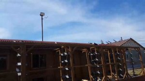 Мелитопольские голуби. Очаковский голубедром продолжение.