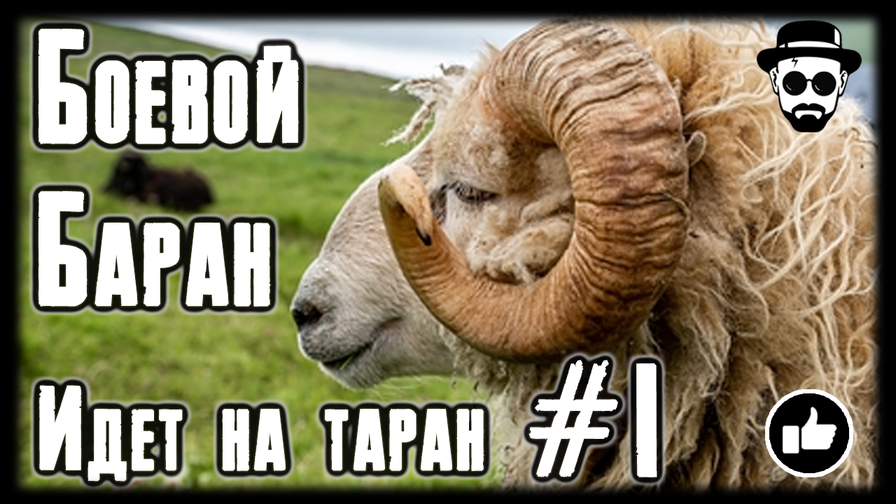 БОЕВОЙ БАРАН ? ИДЁТ НА ТАРАН #1 / BATTLE RAM