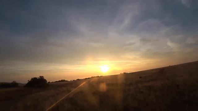 Охота на зайца с русскими гончими 2022г смотреть онлайн