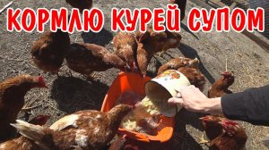 НАША КУХНЯ / ПРОДОЛЖАЮ РЕМОНТ НА КУХНЕ / КОРМЛЮ КУРЕЙ / АНГЕЛИНА СДЕЛАЛА НОГТИ