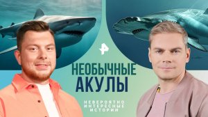 Необычные акулы — Невероятно интересные истории (26.08.2024)