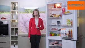 Холодильник INDESIT DFE 4200 W