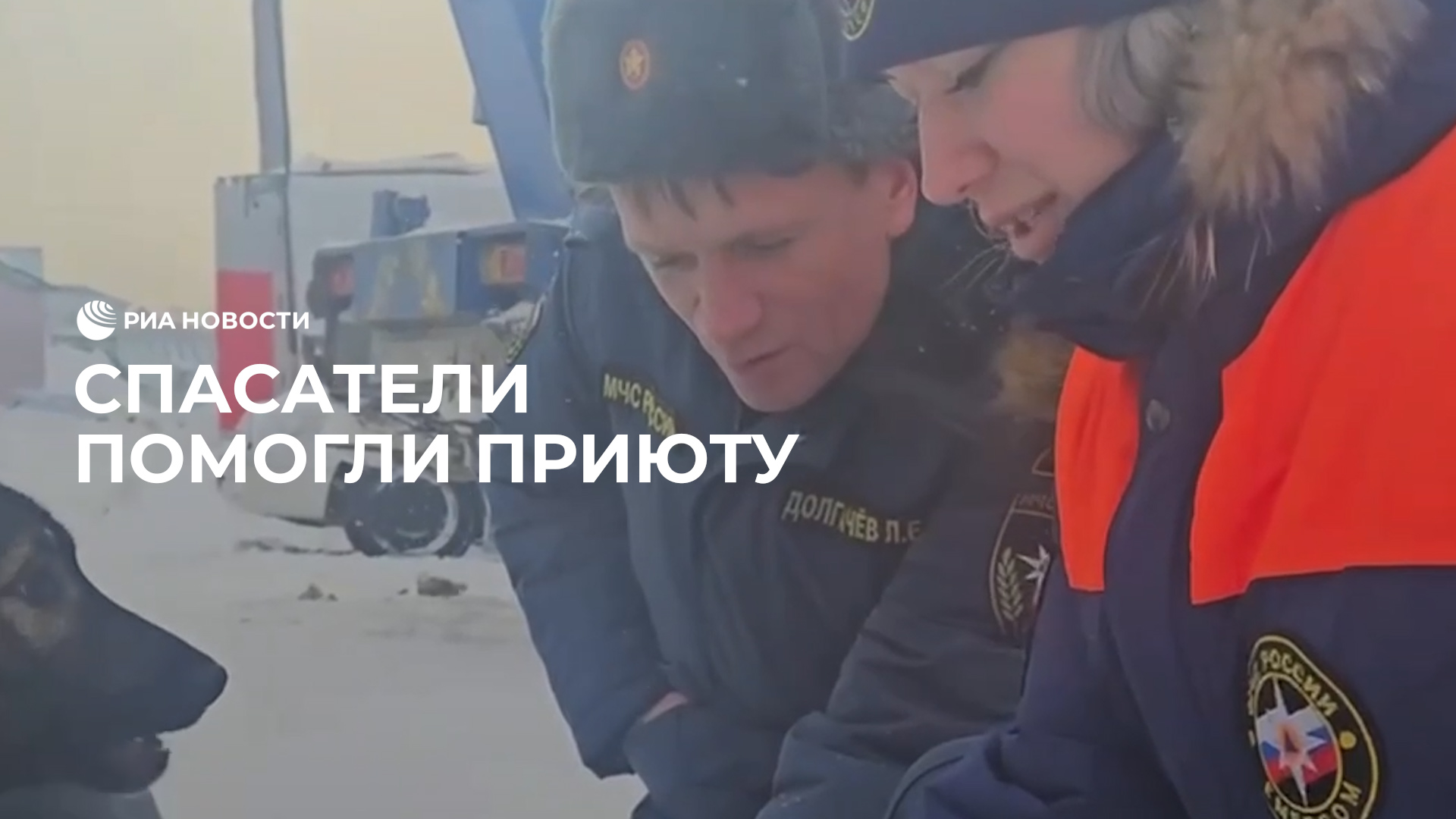 Спасатели помогли приюту