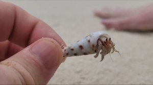 Бюджетные Мальдивы! Часть 1: Feridhoo. Своим ходом с семьей. Детальный обзор: +/-   2022 г.