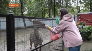 В брянском зоопарке стартовала акция по сбору урожая для животных