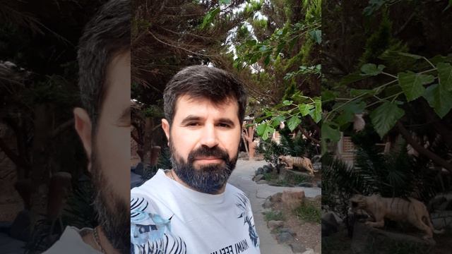 Sintez İqrar Arzular