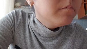 Ассорти ( туркестан классик в пасте, мел Севрюкова, глина сакура)