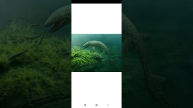 Прогнатодон. Интересные факты про доисторический мир. смотреть онлайн