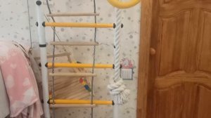 Шведская стенка ЮА пристенный. Юный Атлет. Обзор