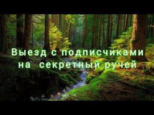 Выезд с подписчиками на секретный ручей. Departure with subscribers to the golden stream