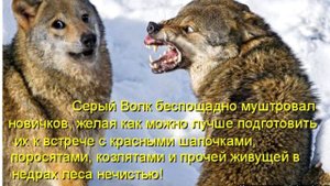 Подборка приколов. Придёт серенький волчок, тебя схватит за бочок. Веселые картинки без пошлостей.