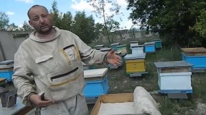 ВСЁ О ВОРОВСТВЕ НА ПАСЕКЕ