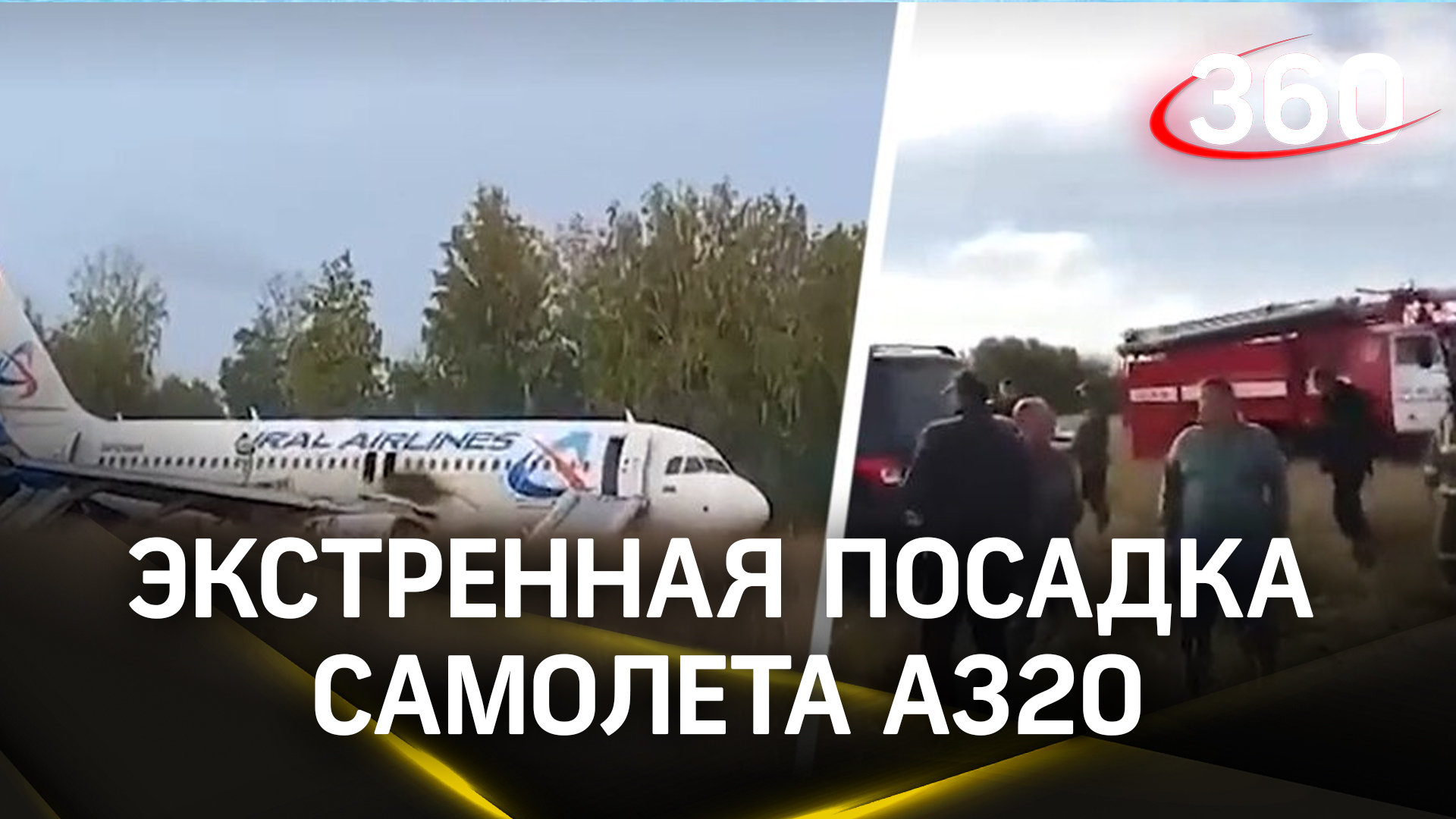 Экстренная посадка самолета A320 в поле под Новосибирском. Что известно