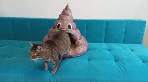 ДОМИК для КОШКИ Своими руками как на Алиэкспресс // Обзор лежанки для кошки