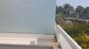 Gran Palas Hotel Spa & Beach Resort 5*