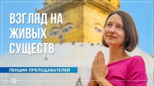 Взгляд на живых существ. Александра Штукатурова