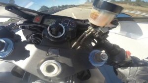 HONDA CBR 954 RR TOP SPEED 299KMH / 186MPH